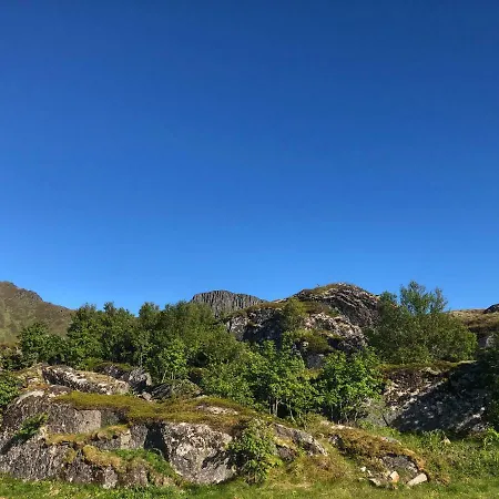 Peaceful Private House In Lofoten